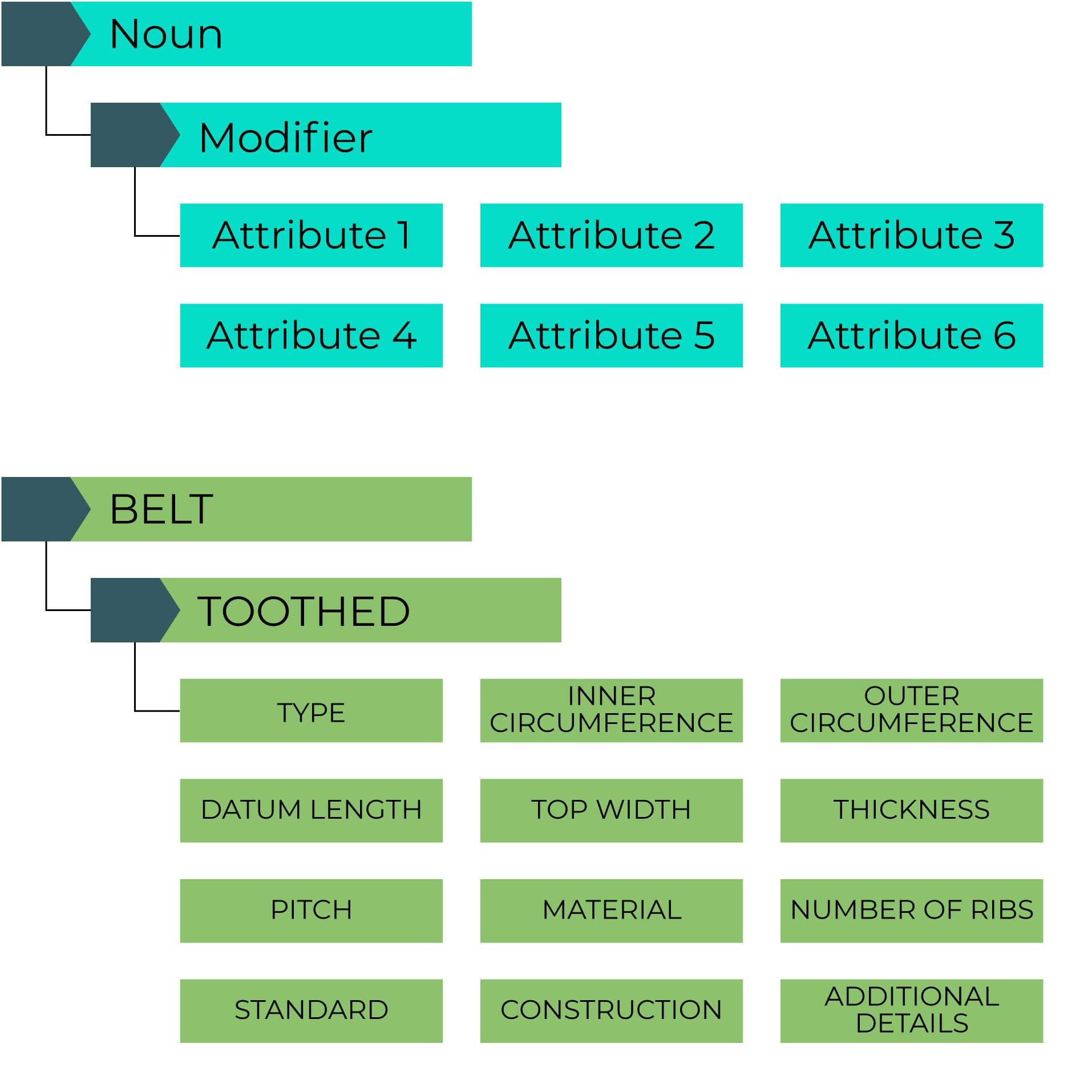 Taxonomy Example